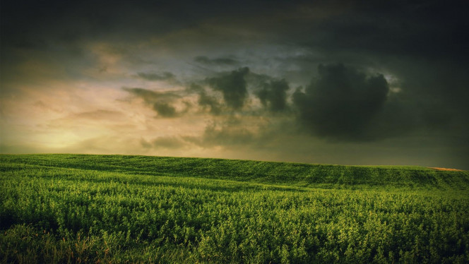 一张美味的图片 &middot; #2531