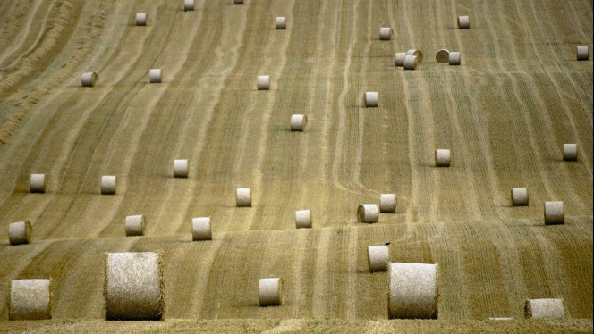 一张美味的图片 &middot; #2587