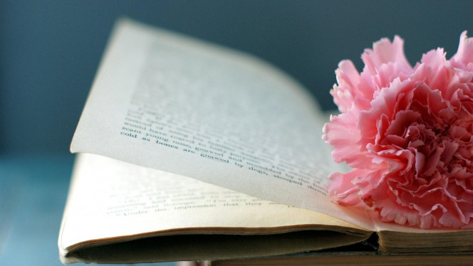 一张美味的图片 &middot; #2076