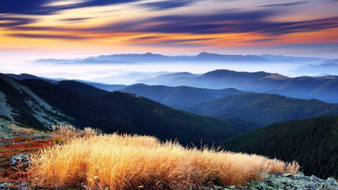 一张美味的图片 &middot; #1797