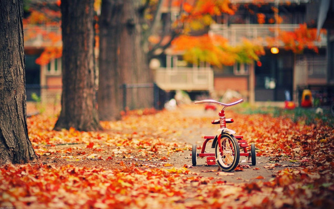 一张美味的图片 &middot; #1169