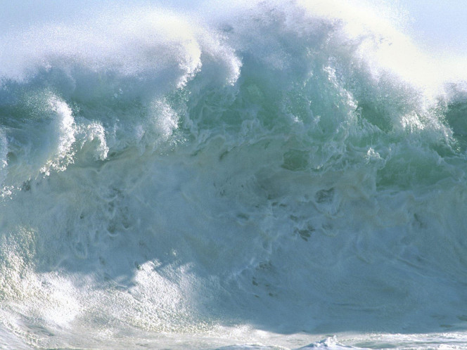 一张美味的图片 &middot; #1939