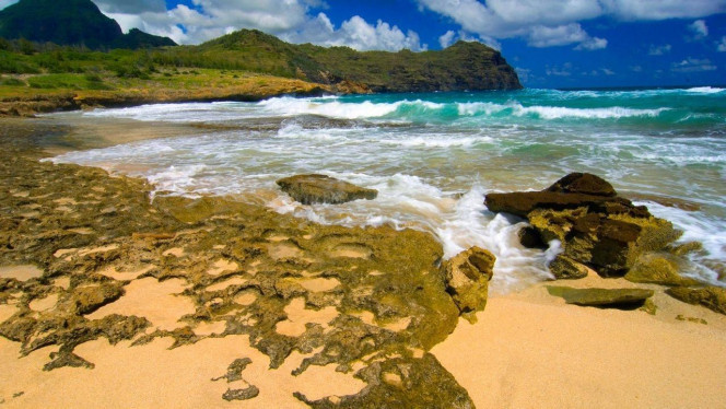 一张美味的图片 &middot; #4144