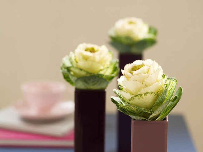 一张美味的图片 &middot; #494