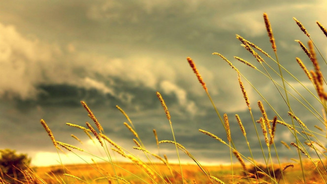 一张美味的图片 &middot; #2482