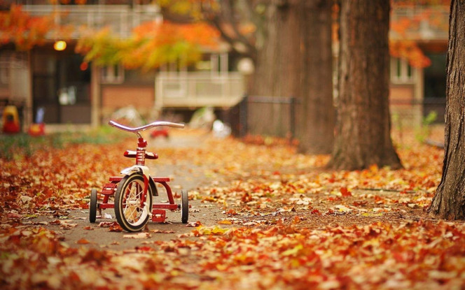 一张美味的图片 &middot; #4047