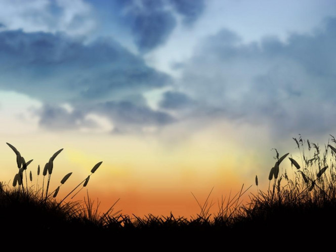 一张美味的图片 &middot; #937