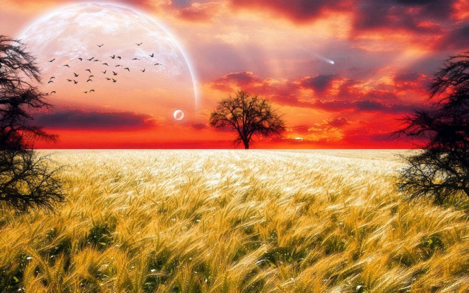 一张美味的图片 &middot; #2734