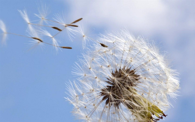 一张美味的图片 &middot; #2604