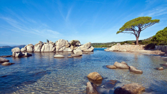 一张美味的图片 &middot; #2659