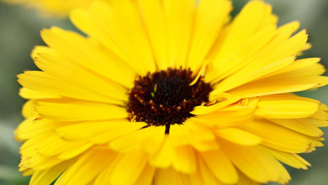 一张美味的图片 &middot; #3490