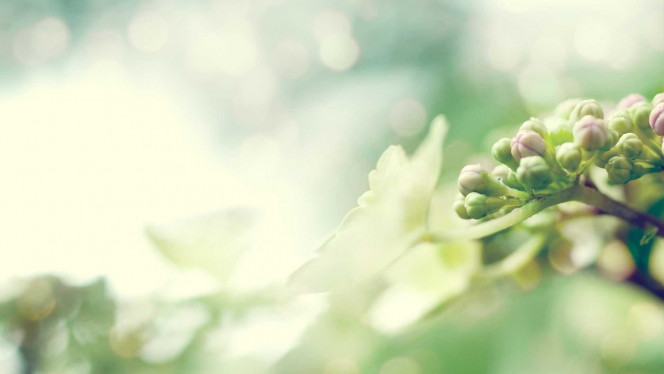 一张美味的图片 &middot; #4575