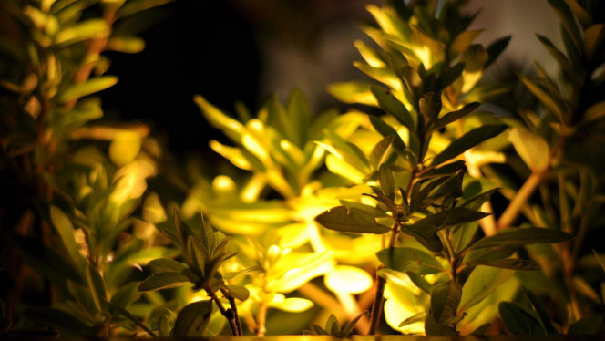 一张美味的图片 &middot; #670