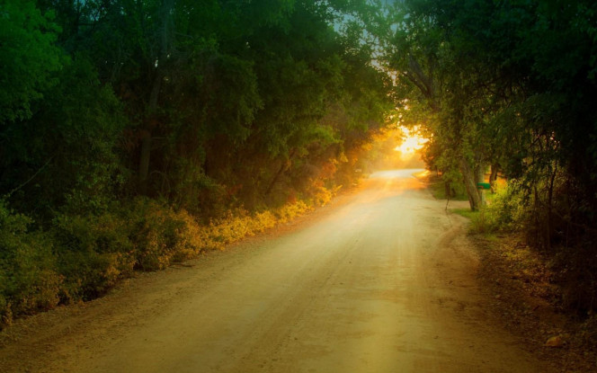 一张美味的图片 &middot; #3170