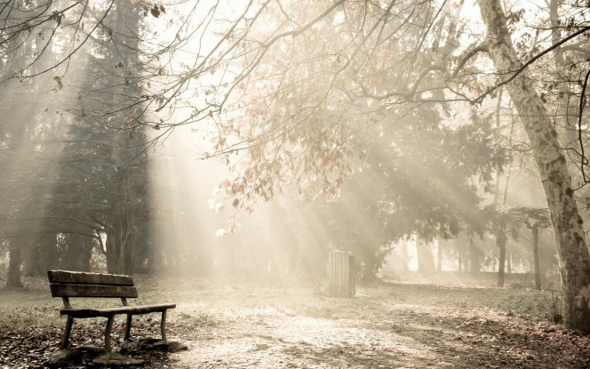 一张美味的图片 &middot; #1960