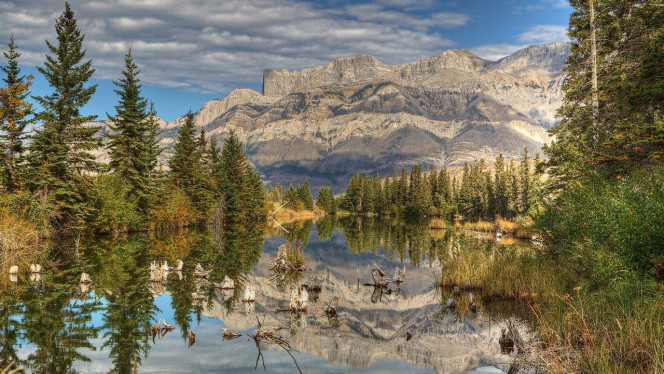 一张美味的图片 &middot; #4453