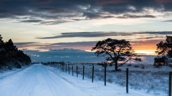 一张美味的图片 &middot; #4293