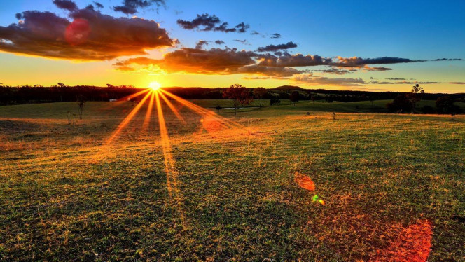 一张美味的图片 &middot; #4461