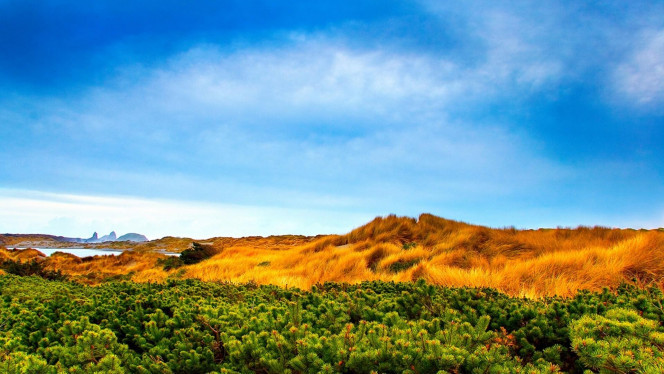 一张美味的图片 &middot; #4207