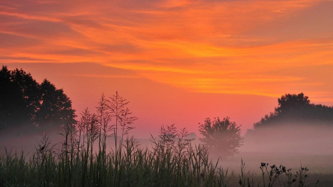 一张美味的图片 &middot; #2580