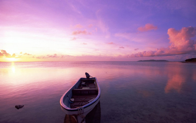 一张美味的图片 &middot; #3065