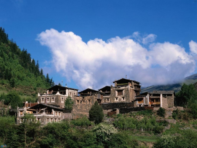 一张美味的图片 &middot; #1535