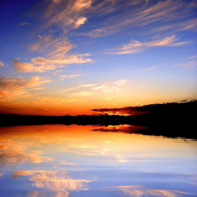 一张美味的图片 &middot; #2268