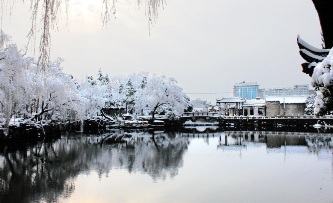 一张美味的图片 &middot; #1420