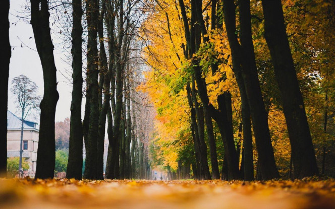 一张美味的图片 &middot; #4013