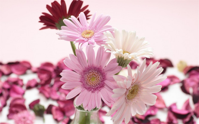 一张美味的图片 &middot; #3964