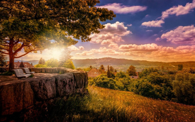 一张美味的图片 &middot; #3254