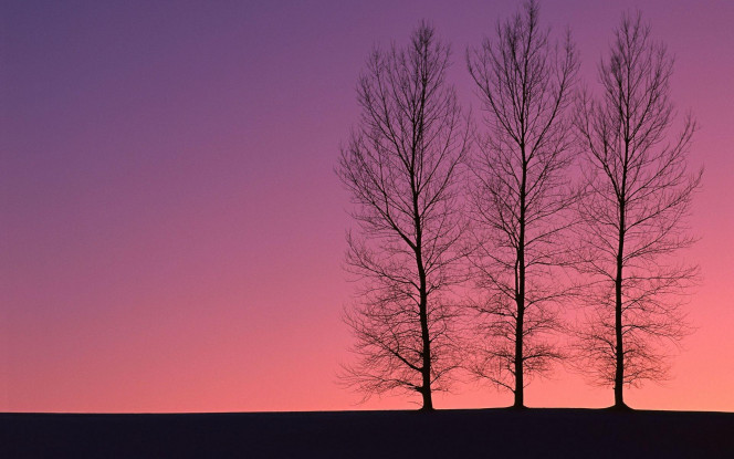 一张美味的图片 &middot; #2188