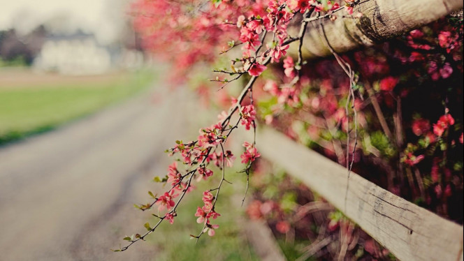 一张美味的图片 &middot; #2624