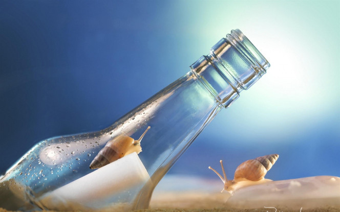 一张美味的图片 &middot; #3395