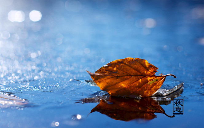 一张美味的图片 &middot; #3954