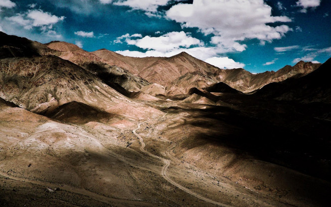 一张美味的图片 &middot; #1242