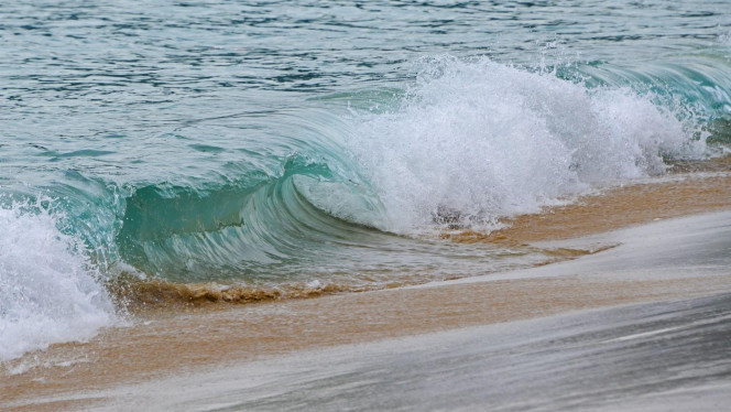 一张美味的图片 &middot; #3719