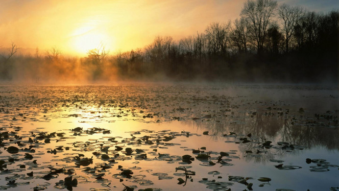 一张美味的图片 &middot; #4517