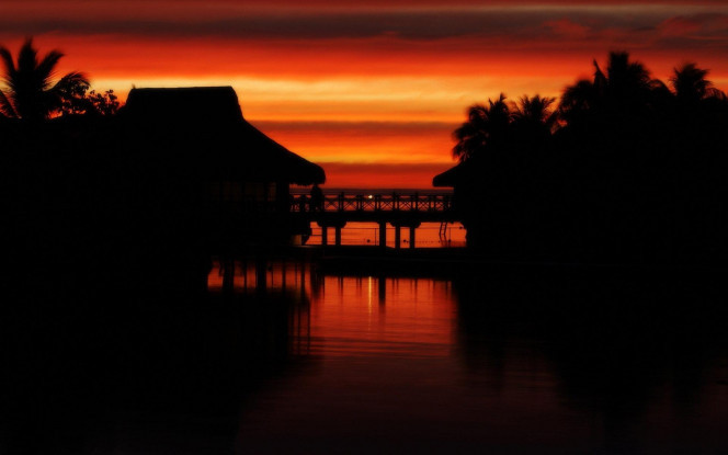 一张美味的图片 &middot; #1790