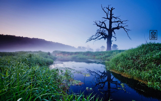 一张美味的图片 &middot; #1150