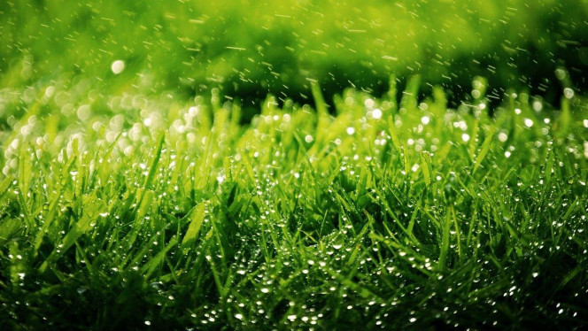 一张美味的图片 &middot; #3910