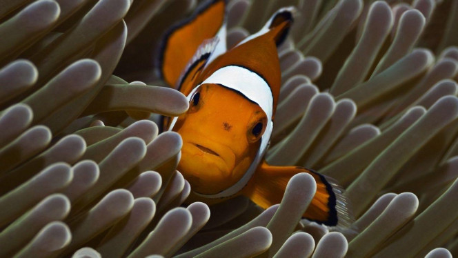 一张美味的图片 &middot; #3520