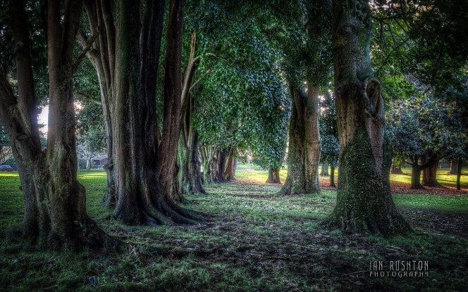 一张美味的图片 &middot; #1926