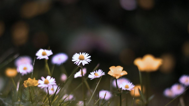 一张美味的图片 &middot; #2398