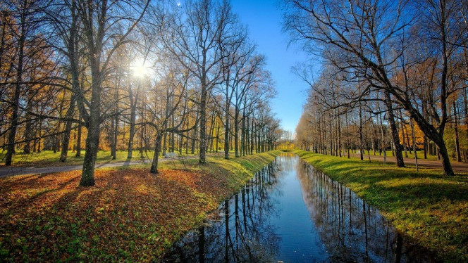 一张美味的图片 &middot; #4226