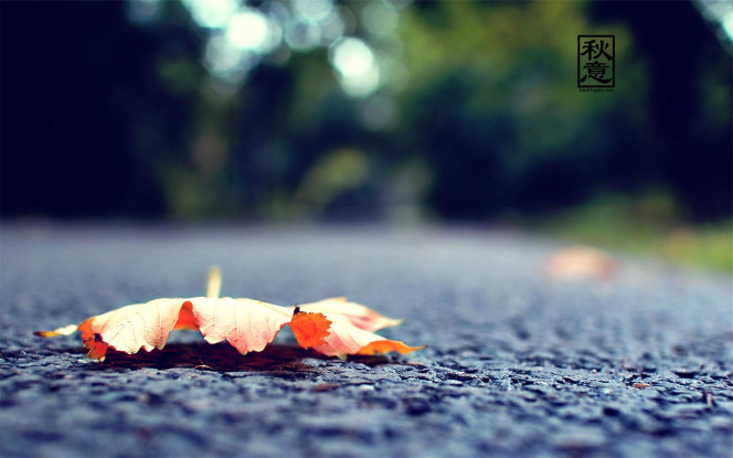 一张美味的图片 &middot; #3949