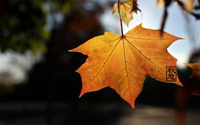 一张美味的图片 &middot; #3959