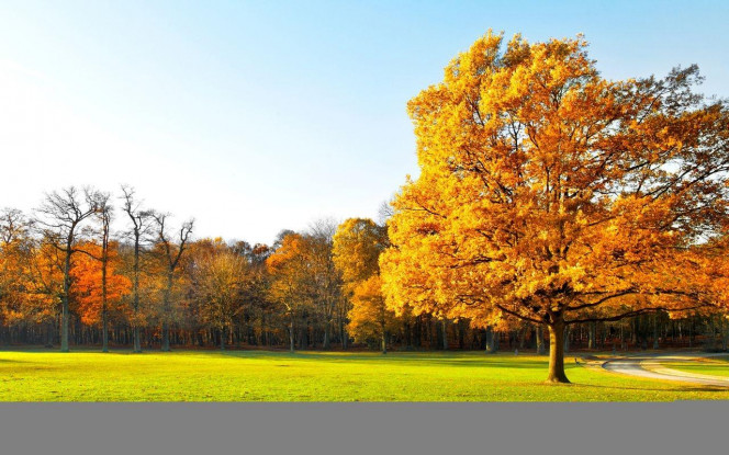 一张美味的图片 &middot; #4160