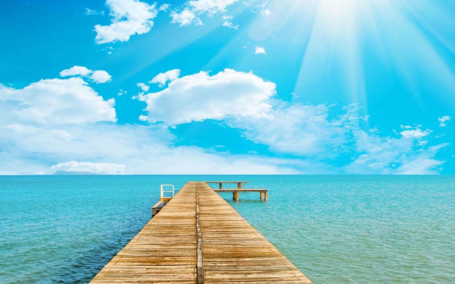 一张美味的图片 &middot; #3672