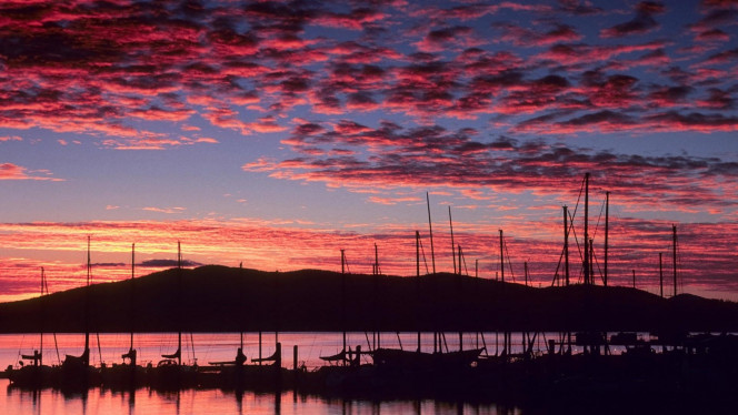 一张美味的图片 &middot; #4282